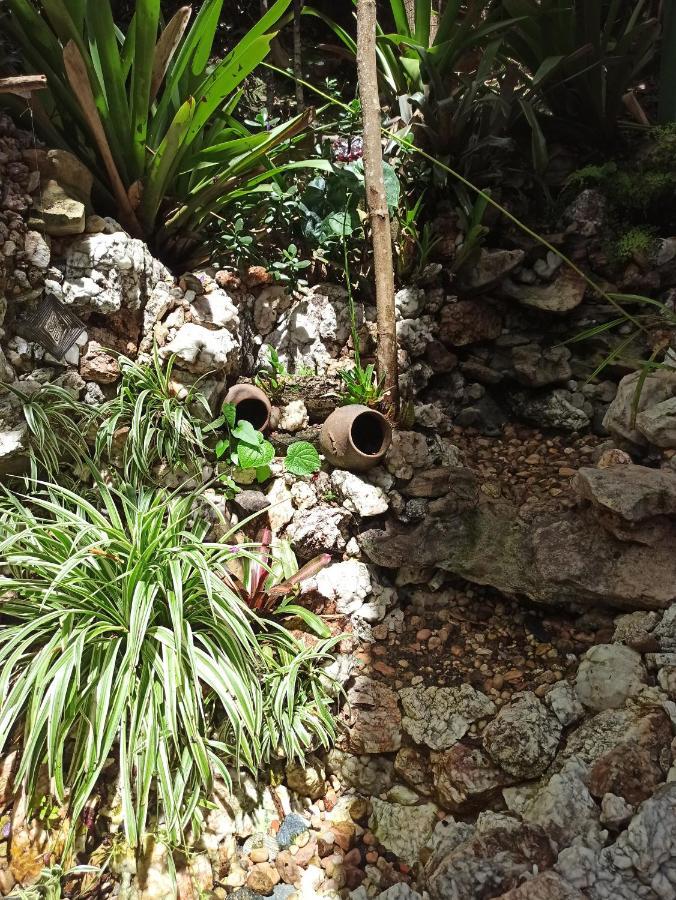 Casa Da Mata Descanso E Sossego Na Natureza Ibicoara Zewnętrze zdjęcie