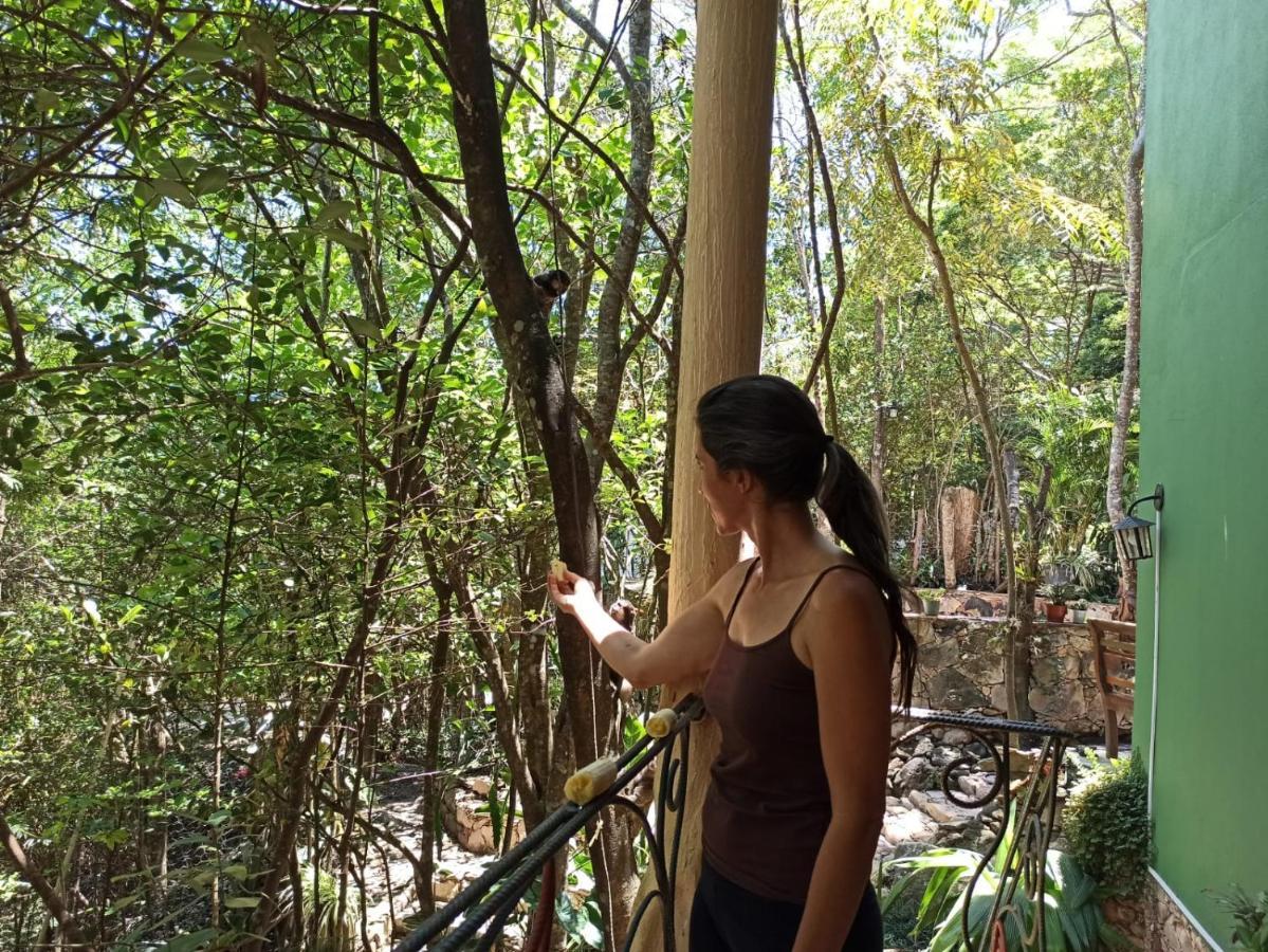 Casa Da Mata Descanso E Sossego Na Natureza Ibicoara Zewnętrze zdjęcie